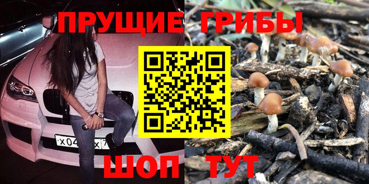 Псилоцибиновые грибы Psilocybine cubensis Минеральные Воды